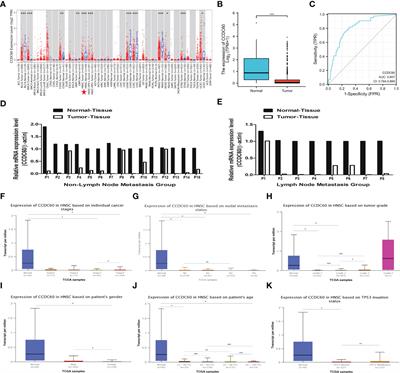 Comprehensive analysis reveals CCDC60 as a potential biomarker correlated with prognosis and immune infiltration of head and neck squamous cell carcinoma